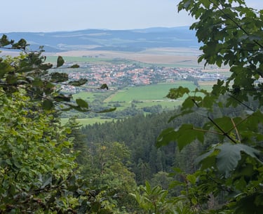 View from a hillside over a valley with a town, fields, and distant mountains, framed by trees.