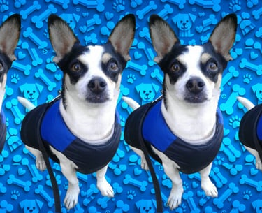 Real Thorby (©CJones)