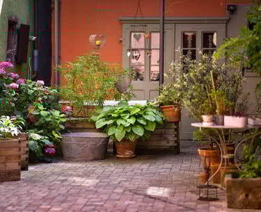 espace extérieur gite ribeauvillé