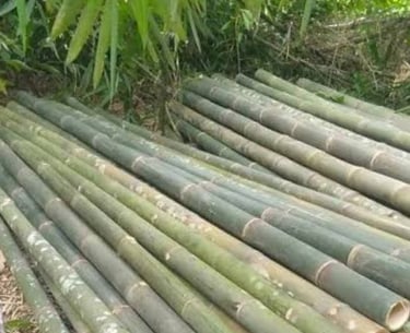 balok kayu bambu