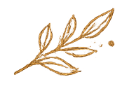 Illustration représentant une feuille