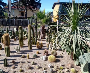 cactus nel nord Italia