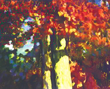 Red Oak tree landscape