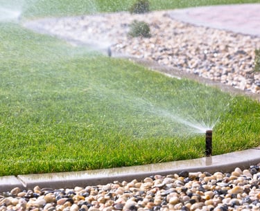 Automatic pop-up sprinkler head watering a lush green lawn near a stone garden border.