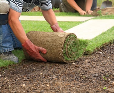 new fresh sod being professionally laid on topsoil in toronto