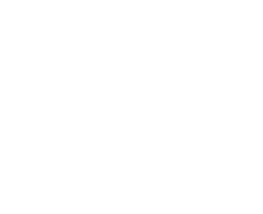 logo diagnostic accélération