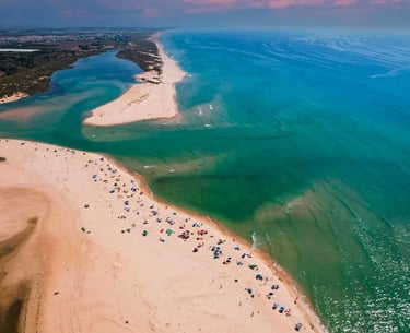 a beach with many people on the beach