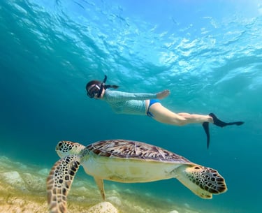 abu-dabbab-snorkeling-trip-marsa-alam