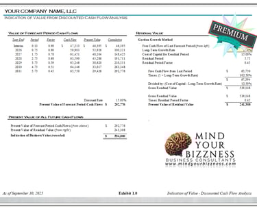 Analysis showing the indication of business value from a discounted cash low analysis