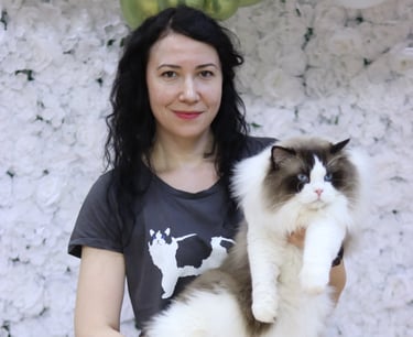 world champion ragdoll held by Anca Neculoiu