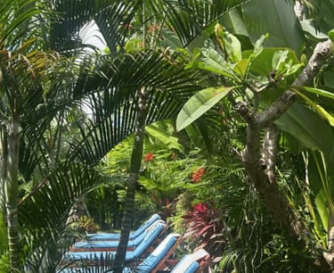 life-in-bali-freedom-healed-inner-energy-harmony