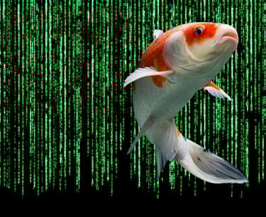 Breaking Free from the Martix