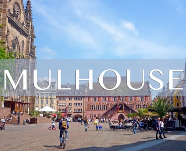 Démoussage de toiture à Mulhouse