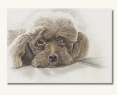 Custom Pet Artwork