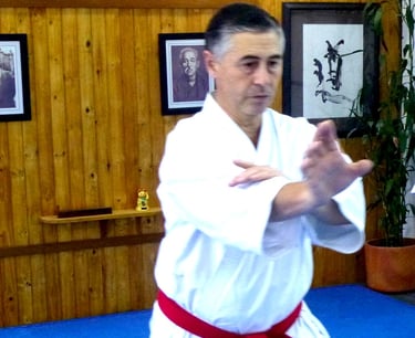 ✧ Gustavo Gondra Hanshi. Our international advisor Gustavo Gondra