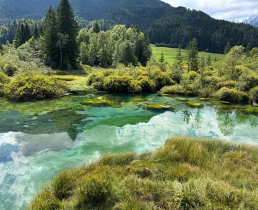 Slovénie - Réserve naturelle de Zelenci