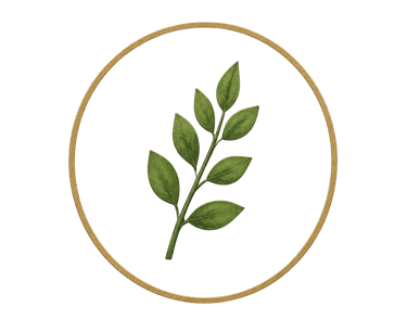 Elegant green botanical leaf sprig inside a minimalist gold circular frame on a black background.