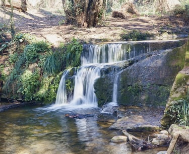 Una cascada en el interior del bosque.