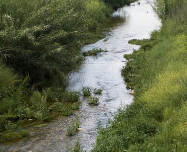 Pequeño arroyo en el campo.