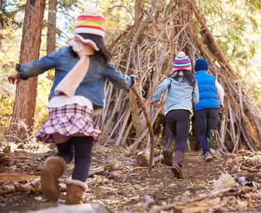 children playing in the woods