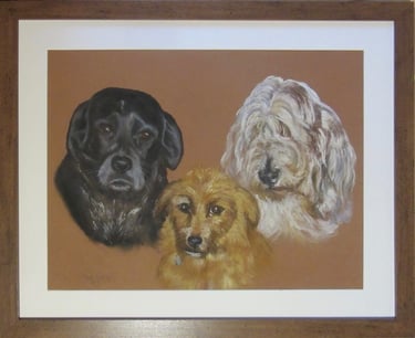 Commissioned triple portrait of 3 dogs, inseparable pals, taken from owner's photograph, drawn in soft pastel