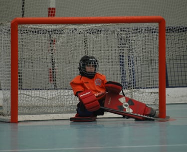 Escuelas Hockey Patines