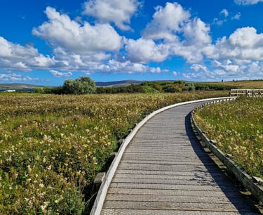 Orkney