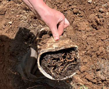 Brisbane Sewer Repairs