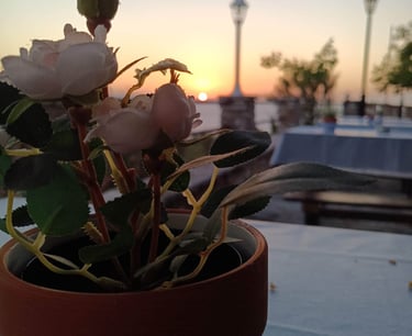 "Enjoy the Perfect Blend of Scenery and Flavor at John's Guesthouse Tavern in Ksamil!"