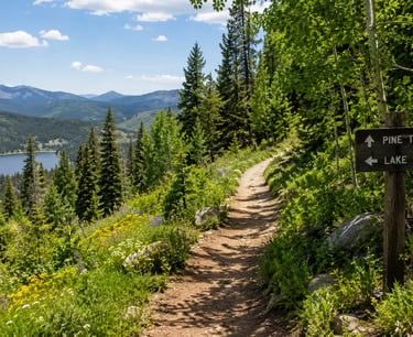 A nature trail on a picturesque outdoor setting.