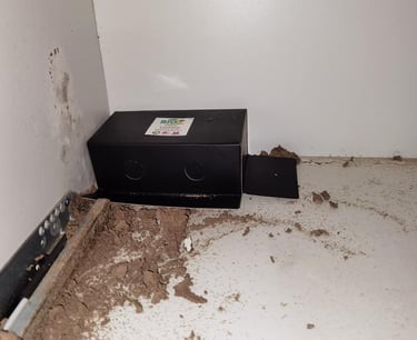 Severe structural roof collapse caused by untreated subterranean termite damage in residential home.