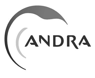 Andra