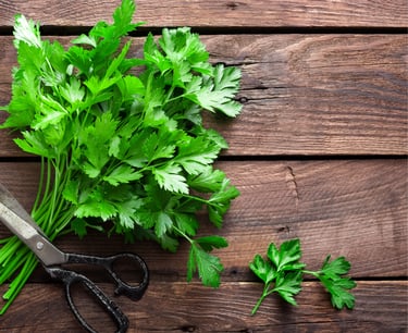 PARSLEY