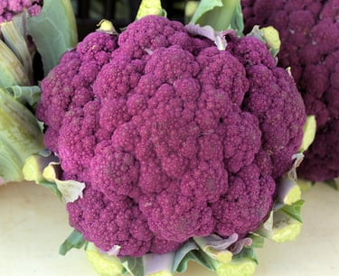 Italian Cauliflower Di Sicilia Violetto