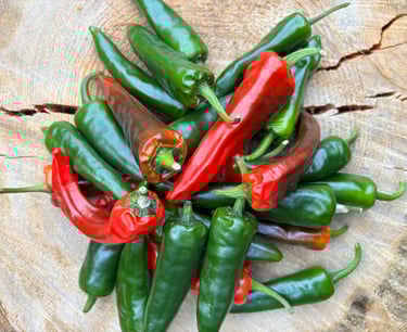 JALAPENO CHILLIES