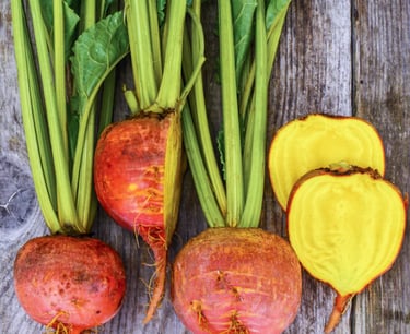 BURPEES GOLDEN HEIRLOOM BEETROOT