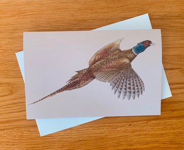 Pheasant