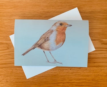 Robin