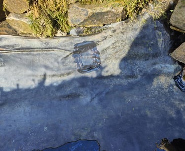 Pond Fault Finding & Repairs