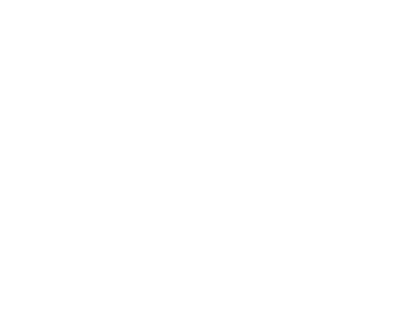 logo diagnostic accélération
