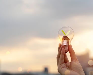 Foco con planta verde en el interior, símbolo de crecimiento financiero y hábitos de ahorro e inversión