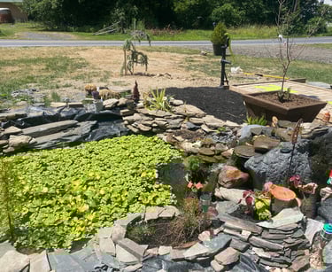 Pond Installation 