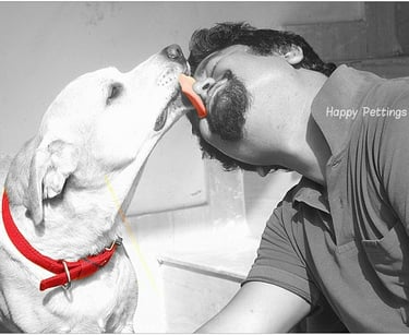 Dog Boarding, Dog Boarding near me, Pet Boarding, Pet Boarding near me, Dog Care, Happy Pettings