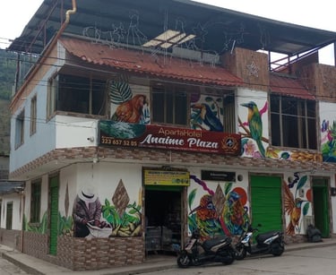 hotel Anaime Plaza, 