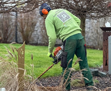 Professional gardener using a hedge trimmer for garden maintenance and shrub care.