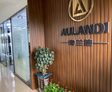 aulandi duffel bag Product Showroom