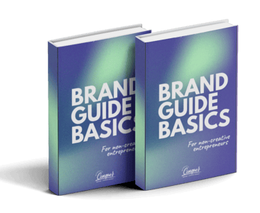 brand guide book