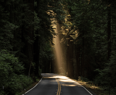 Mi proceso como paciente antes que como terapeuta aportó luz a mi experiencia sobre las emociones.