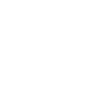White hand-drawn typography of the Bruno Biondi Vertical Concepts logo on a black background.