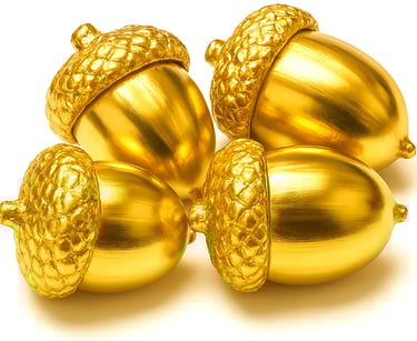 Funding for Mining Projects